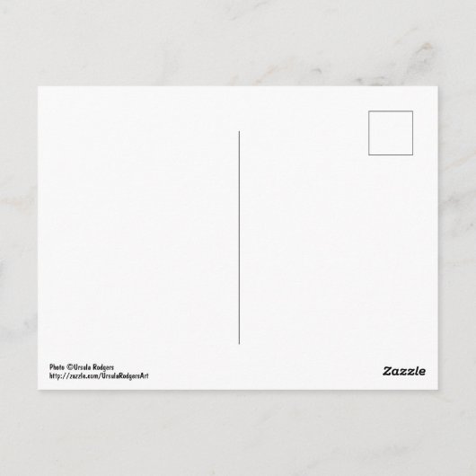 花畑 ポストカード (裏面)