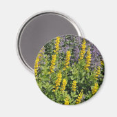 花畑 マグネット (正面/裏面)