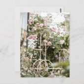 花登山バラ葉書 ポストカード (正面/裏面)