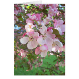 花盛りのカニりんごの花