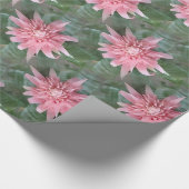 花盛りのピンクのBromeliadのギフト用包装紙 ラッピングペーパー (角)