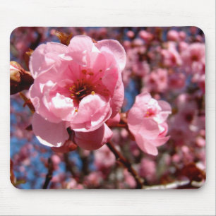 花盛りのプラム マウスパッド