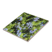 花盛りのローズマリーの薮 タイル (側面)