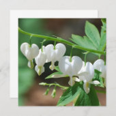 花盛りの大げさに同情する人の招待状 招待状 (正面/裏面)