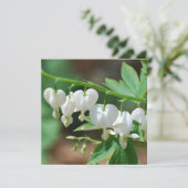 花盛りの大げさに同情する人の招待状 招待状 (スタンド正面)