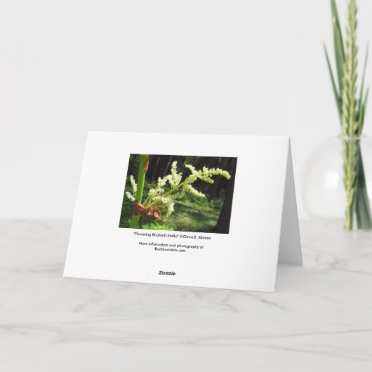 花盛りの大黄は空白のなカードにつきまといます カード (裏面)