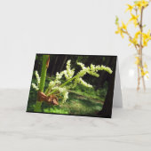 花盛りの大黄は空白のなカードにつきまといます カード (黄色い花)