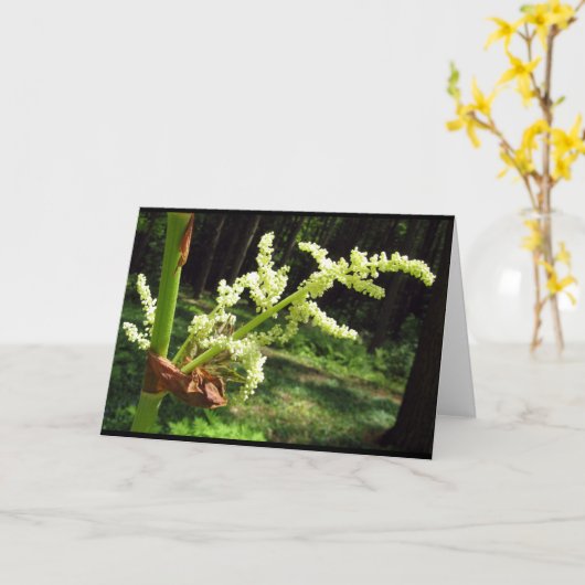 花盛りの大黄は空白のなカードにつきまといます カード (黄色い花)