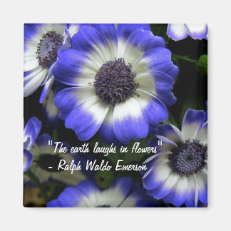 花磁石で笑う マグネット