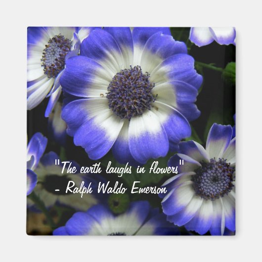 花磁石で笑う マグネット (正面)