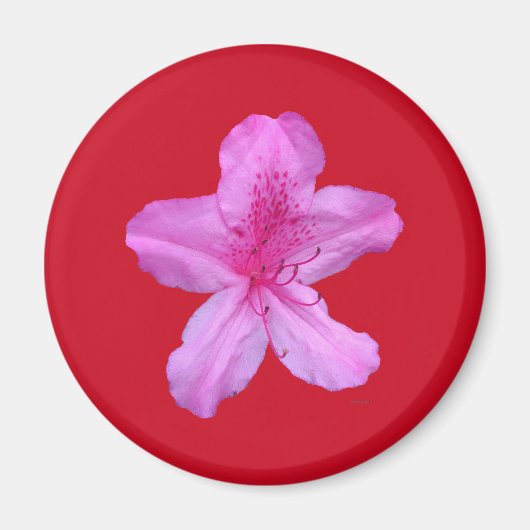 花磁石 マグネット (正面)