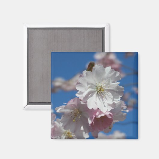 花磁石 マグネット (正面/裏面)