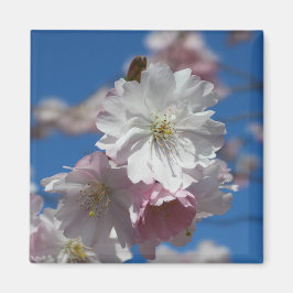 花磁石 マグネット