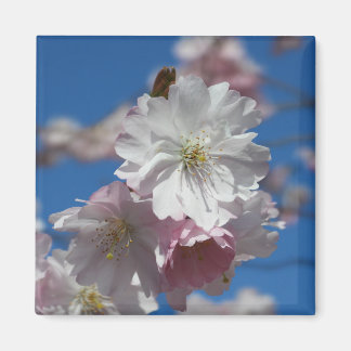 花磁石 マグネット