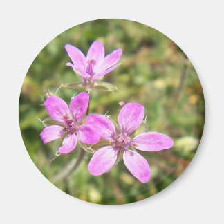 花磁石 マグネット