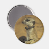 花磁石 マグネット (正面/裏面)