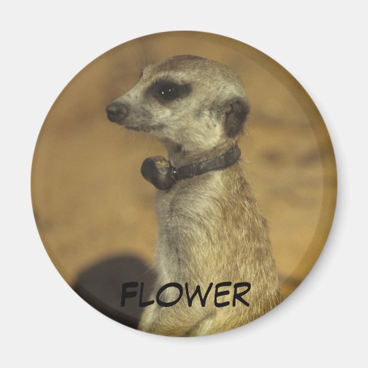 花磁石 マグネット (正面)