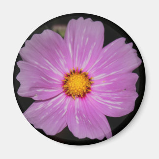 花磁石 マグネット