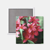 花磁石 マグネット (正面/裏面)