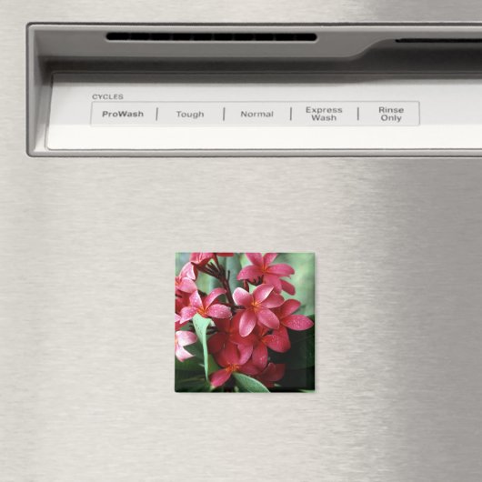 花磁石 マグネット (インサイチュ (食洗機))