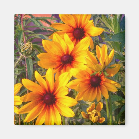 花磁石 マグネット (正面)