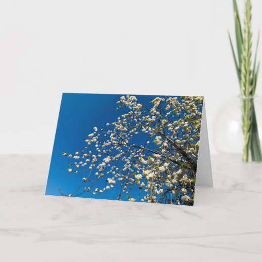 花空白のの木の絵のカード カード (正面)