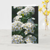 花空白のグリーティングカード カード (黄色い花)