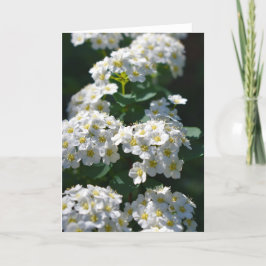 花空白のグリーティングカード カード