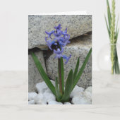 花空白の札 カード (正面)