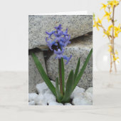 花空白の札 カード (黄色い花)