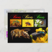 花粉を運ぶ蜂 ポストカード (正面/裏面)