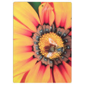 花粉を集めるミツバチの極端なクローズアップ クリップボード (裏面)