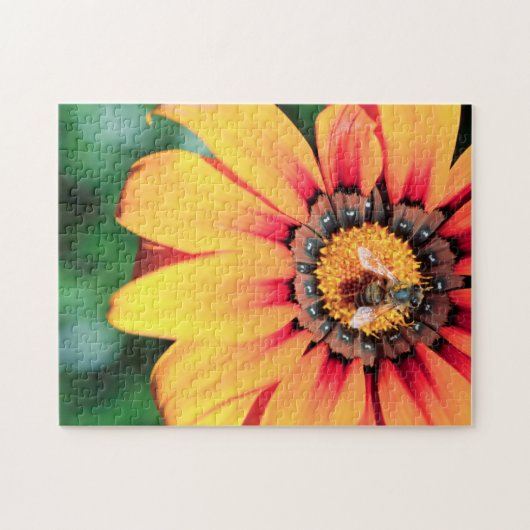 花粉を集めるミツバチの極端なクローズアップ ジグソーパズル (横)