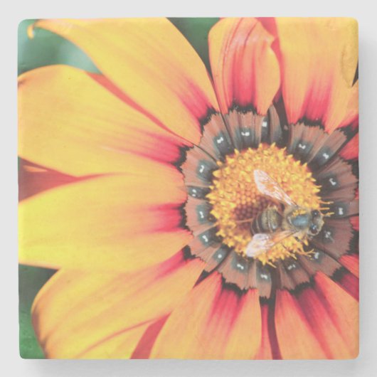 花粉を集めるミツバチの極端なクローズアップ ストーンコースター (正面)