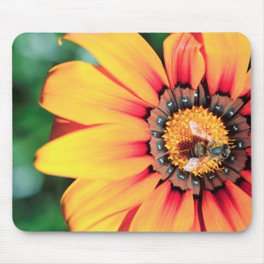 花粉を集めるミツバチの極端なクローズアップ マウスパッド (正面)