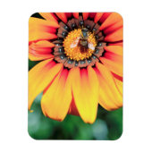 花粉を集めるミツバチの極端なクローズアップ マグネット (縦)