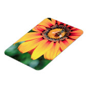 花粉を集めるミツバチの極端なクローズアップ マグネット (左側)