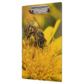 花粉嚢を持つアフリカのハチミツ食べ物を与えビー クリップボード (左)