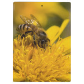 花粉嚢を持つアフリカのハチミツ食べ物を与えビー クリップボード (裏面)