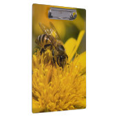 花粉嚢を持つアフリカのハチミツ食べ物を与えビー クリップボード (右)