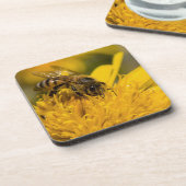 花粉嚢を持つアフリカのハチミツ食べ物を与えビー コースター (左側)