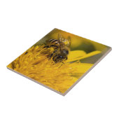 花粉嚢を持つアフリカのハチミツ食べ物を与えビー タイル (側面)