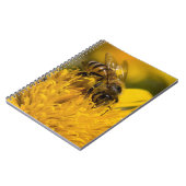 花粉嚢を持つアフリカのハチミツ食べ物を与えビー ノートブック (左側)