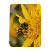 花粉嚢を持つアフリカのハチミツ食べ物を与えビー マグネット (縦)