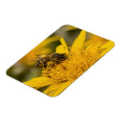 花粉嚢を持つアフリカのハチミツ食べ物を与えビー マグネット (左側)