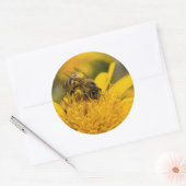 花粉嚢を持つアフリカのハチミツ食べ物を与えビー ラウンドシール (封筒)