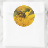 花粉嚢を持つアフリカのハチミツ食べ物を与えビー ラウンドシール (バッグ)