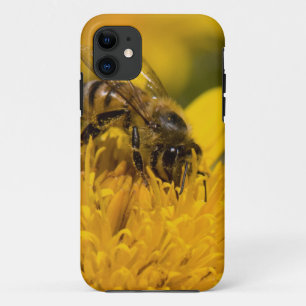 花粉嚢を持つアフリカのミツバチの給餌 iPhone 11 ケース