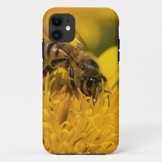 花粉嚢を持つアフリカのミツバチの給餌 Case-Mate iPhoneケース (裏面)