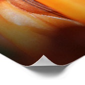 花粉採集蜂 ポスター (角)